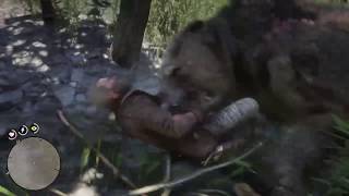 Red Dead Redemption 2 Gameplay Legendary Bear Predator Hunt