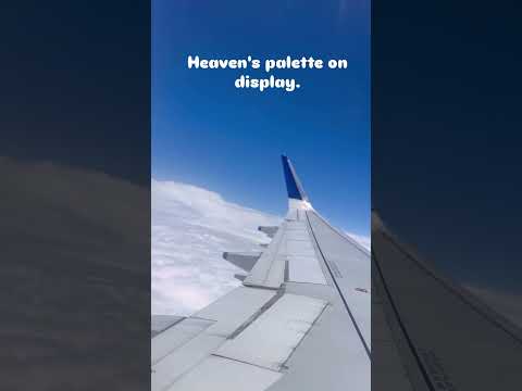 #trendingshorts #indigo #privatejet #airindia #aeroplane #funnyvideo #travel #indore #ujjain #viral