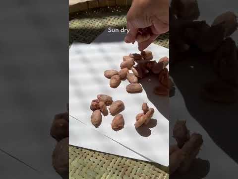 Make chocolate bar from Cacao beans 🍫