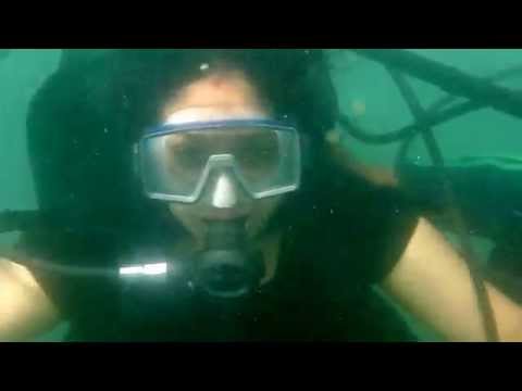scuba dive... adventures