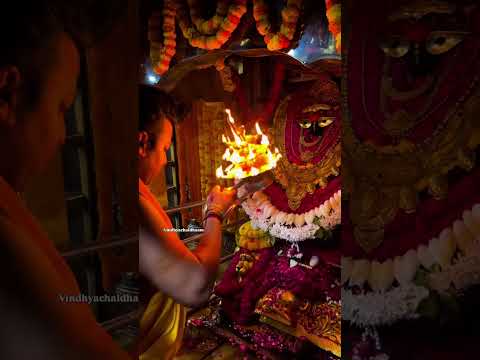 दया करिये माता हम सभी बच्चों पे 🙏🥹🥰 |#trendingshorts |#mataranistatus |#शुक्रवार |#सोमवार |#viral