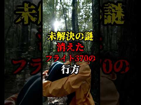 【未解決事件】消えたフライト370