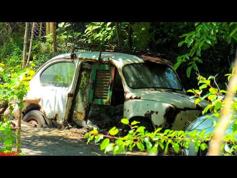1966 Fiat 600 Jolly - Car Restoration