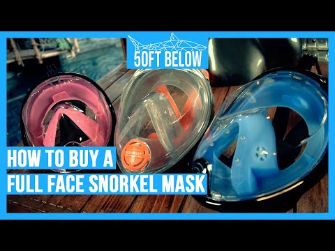 How to buy a Full Face Snorkel Mask | Buyers Guide by 50ft Below!