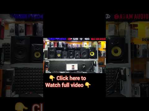 Best Guitar Shop #guitar #guitarshop #musicinstruments #violin #piano #delhivlog #drums #harmonium