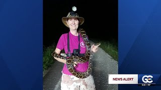Woman wins prize for capturing 16 pythons during Florida Python Challenge