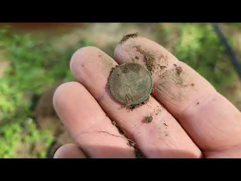 Metal detecting southern Ohio for coins and relics