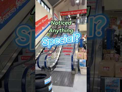 Spot it!