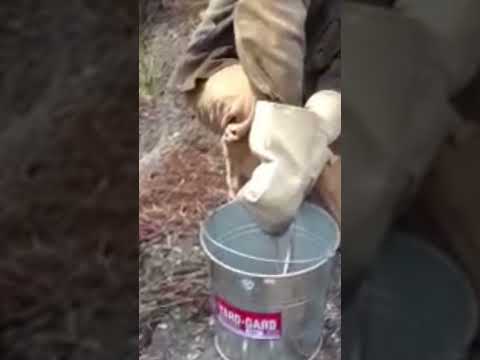 Popping Two 25 oz Gold Bars Out of Molds ... & Popping Off the Borax & Black Sand Slag in Cold water