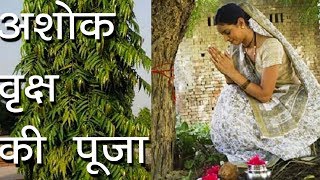 अशोक वृक्ष की पूजा | अशोक व्रत पूजा एवं उजमन विधि | Ashok Vrat | Ashoka tree | Hindu Rituals