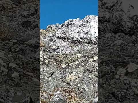 Wide quartz vein in North Sweden#shorts