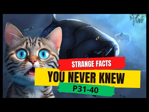 Strange facts you never knew P.31-40 | Discovery Daze | Interesting And Weird Facts #facts