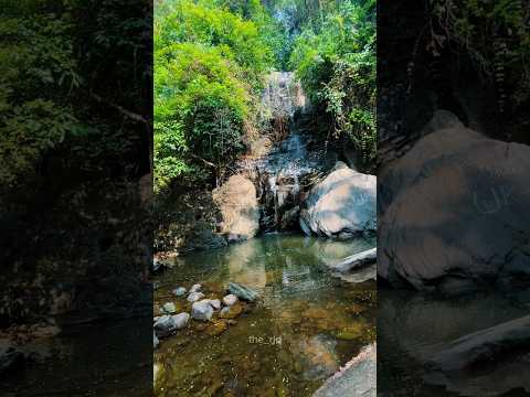 Thirikakkazham - Kozhikode #shortvideo