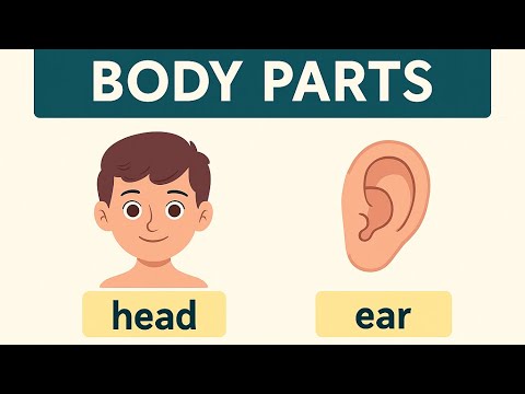 My Body Parts | Learn with Fun for Children