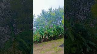 😔 Broken heart 💔 Very Sad SongStatus 😔 WhatsApp status video 🥀 Mood off 😭 🥀 #shorts #viral #moodoff