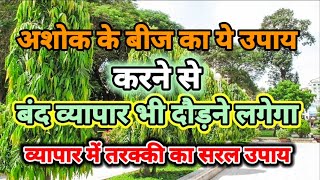 अशोक के बीज का उपाय बंद व्यापार भी चलने लगेगा #ShantiGanga