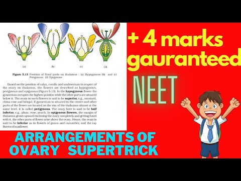 morphology of flowering plants #neet #tricks #supertrick #aiims #mbbs #neet2024aspirants #neet