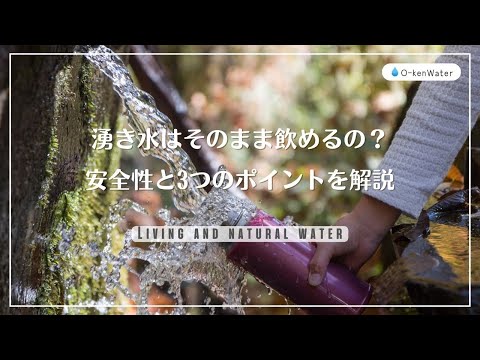 湧き水はそのまま飲めるの？安全性と知っておきたい3つのポイントを解説