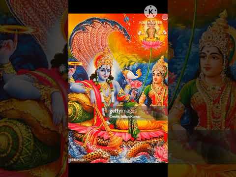 श्री मन नारायण नारायण हरी हरी 🙏🙏@laxaminarayan-japtapvratt7537