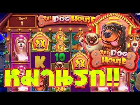 BetflixKingdom : The Dog House จัดหนักจัดเต็มบ้านมาเต็ม !!