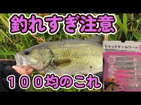 筑後川でバス釣り。100均ワームに変えた途端、釣れ出す