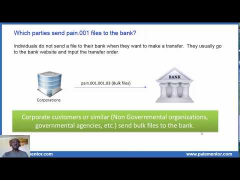 Pain.001 Customer Credit Transfer Initiation Message