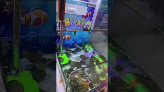 #petsvlog #fishkeepinghobby #fishcare #arcade #aquariumfishmarket #clawmachine #fishkeeping #funny