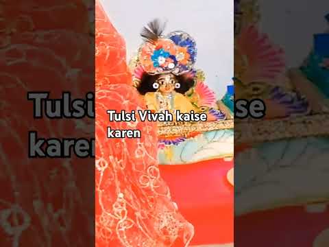 Tulsi Vivah kaise karen #keshavcreationfamilyvlog #tulsipujakaisekare #tulsivivahkaisekare #tulsi