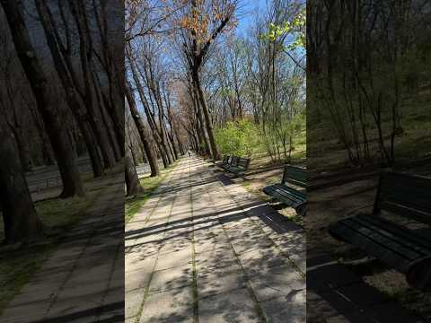 #dji #osmo #mobile #6 #romania #park #king #michael