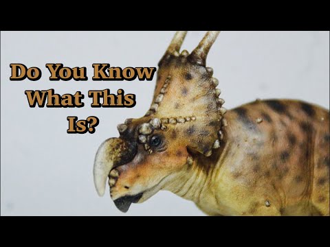 5 Dinosaurs You Definitely Forgot Existed | 1000 Subscriber Special