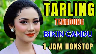 TARLING TENGDUNG_ lagu tarling merdu bikin candu _full album paling enak sambil sruput kopi mantap