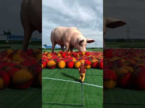 hellooo #subscribe #funny #like #cute  #fun