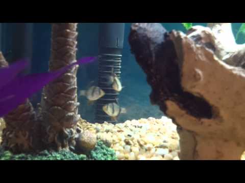 VID_20130304_204449.mp4