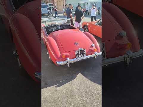 Raduno Trinitapoli Giugno 2025 - Porsche 914, Volkswagen Beetle cabrio, Volkswagen Golf cabrio, MG A