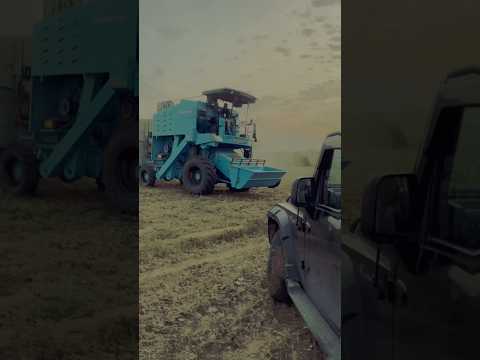 Farming 🌾🌾🌾🌾#trending #trendingshorts #thar #youtubeshorts #shortvideo