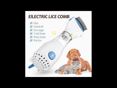 Dogs Gadgets