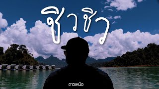 ชิว ชิว (chill chill) - ดาวเหนือ