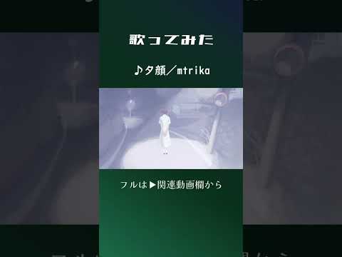 夕顔 #歌ってみた #mtrika #歌コレ2025春top100 #伊勢ななほ