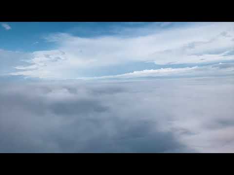 evrYwhr - Miracle Baby feat  Zion Jefferson