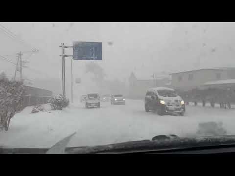 【視界不良】大雪の秋田市 午前10時前の状況