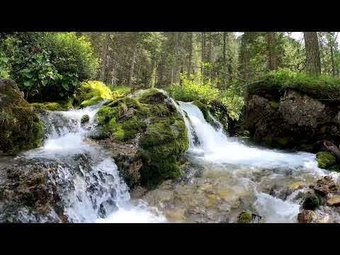 Relaxation with Nature Forest River Sounds and Bird Singing II Meditation, Focusing, Studying