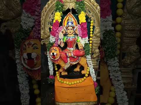 om salthi amman status #amman #ammanastro #ammandevotionalsongs #devotionalsongs #mutharamman #love