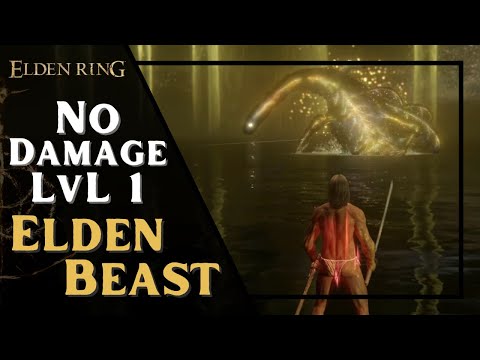 [ELDEN RING] Lv1 Wretch - Radagon & Elden Beast (No Damage)