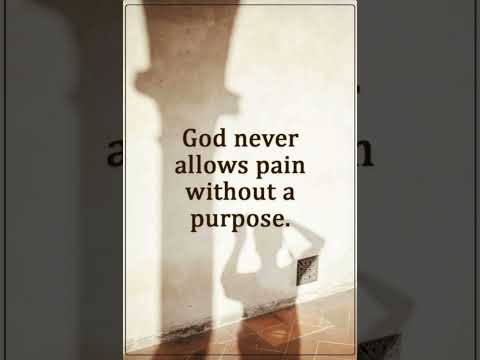 God never allows pain without a purpose #shorts #inspirationalthoughts#status #motivational#thoughts