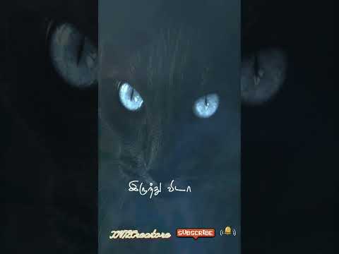 Salim song whatsapp status||full Screen#kadvulunpakkam##_unakkenna #thukkam#ponathu# pochu##