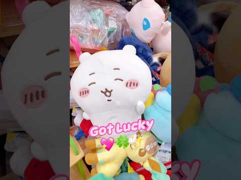 Japan Thrifting #chiikawa #mymelody #sanrio #sanriocharacters #price #thrift #thrifthaul #bookoff