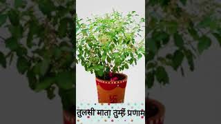 #viralvideos #youtubeshorts #bhaktt_bhakti #bhaktilife