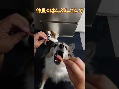 うれしいモグモグタイム