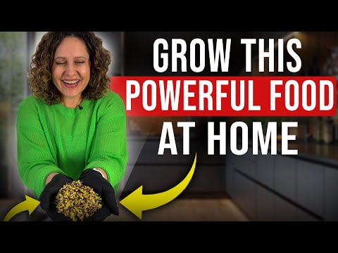 How to Grow Broccoli Sprouts at Home for Maximum Benefits