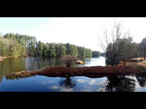 Calming Resevoir with soothing music